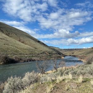 Meet your Posher, Austin